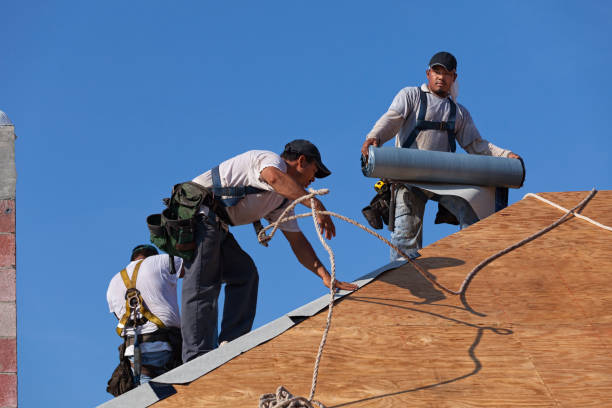 Best New Roof Installation  in Rosenhayn, NJ