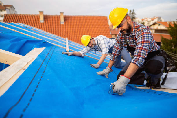 Best Roof Restoration Services  in Rosenhayn, NJ