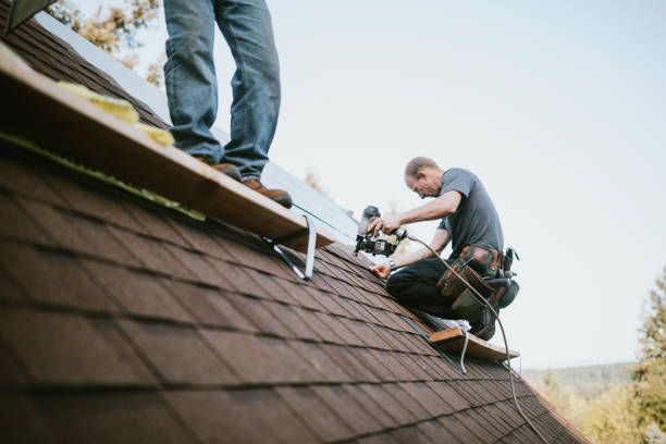 Best Roof Gutter Cleaning  in Rosenhayn, NJ